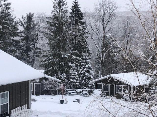Belleayre Lodge Pine Hill Exterior photo